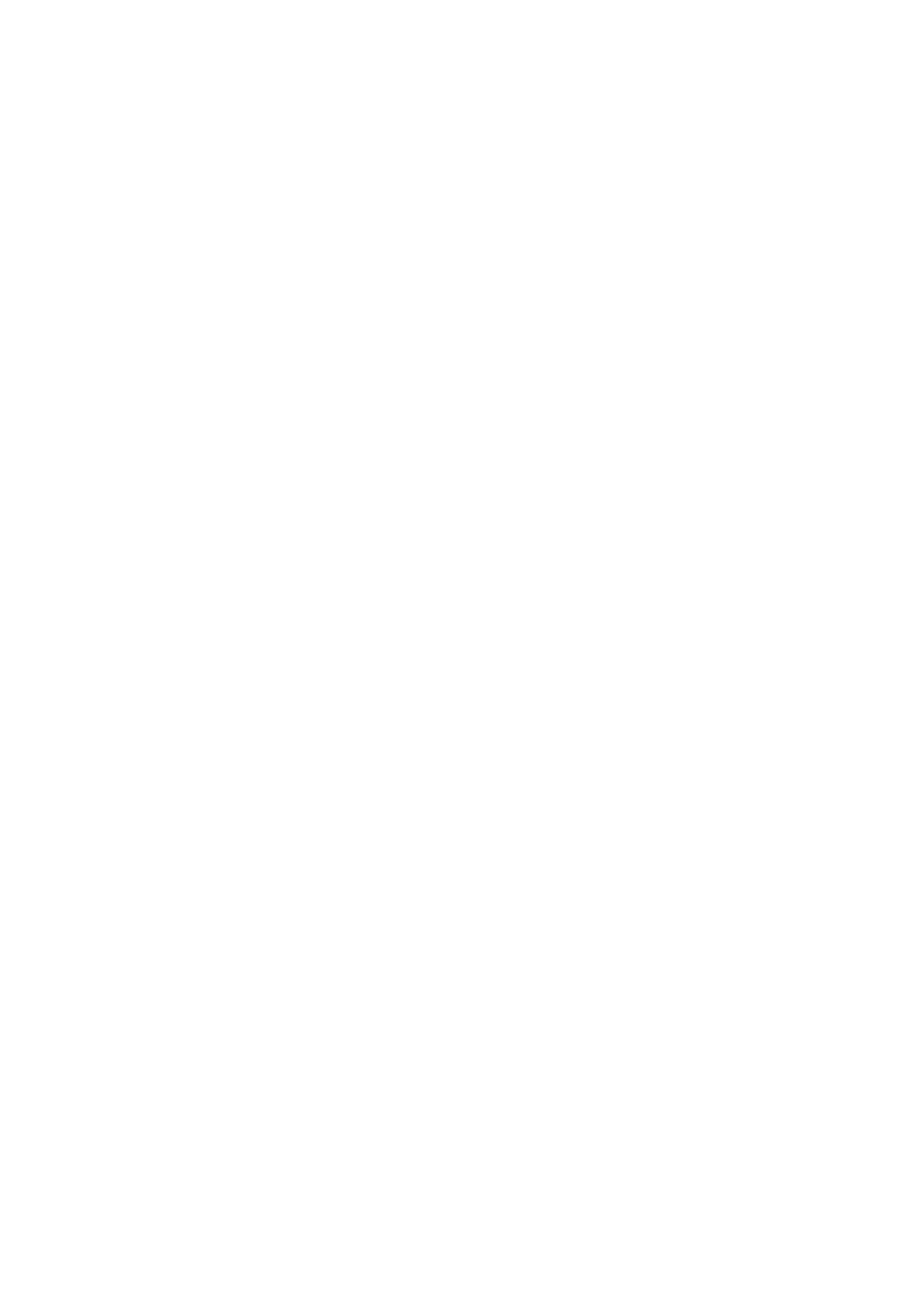 Audit